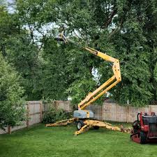 Best Tree Preservation Services  in Lake Park, GA