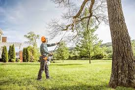 Best Lawn Maintenance Plans  in Lake Park, GA