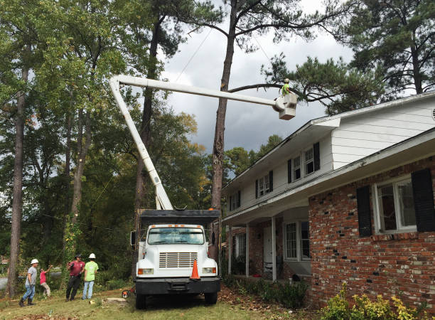 Best Arborist Consultation Services  in Lake Park, GA